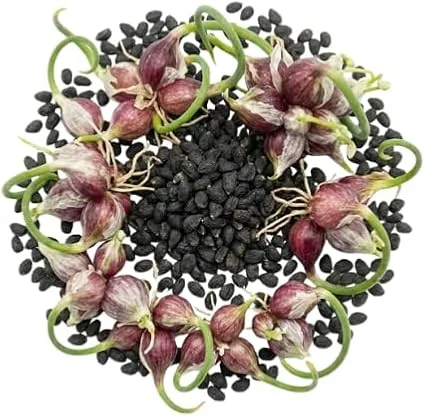 200 Walking Onion Seeds - Cold Hardy Perennial, Fast-Growing, High Yield - Image 2