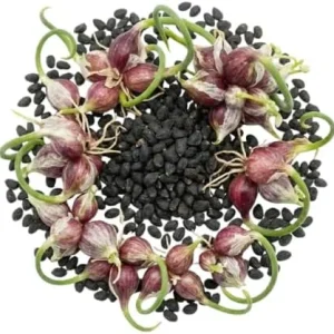 200 Walking Onion Seeds - Cold Hardy Perennial, Fast-Growing, High Yield - Image 4