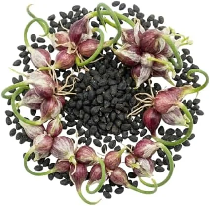 200 Walking Onion Seeds - Cold Hardy Perennial, Fast-Growing, High Yield - Image 4