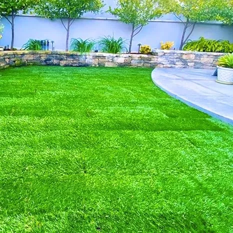 30000 Zoysia Grass Seeds for Hardy Lawn | Heat & Drought Tolerant - Image 2
