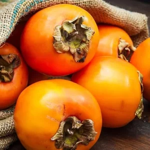 4-Pack Persimmon Trees Live, 1-2 Ft Tall Bare Roots, Cold Hardy Fruit Tree Seedlings - Image 4