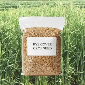 5 Lb Rye Cover Crop Seeds – Fast-Growing Grass Seed for Lawn & Garden, USDA Zones 3-10 - Image 3