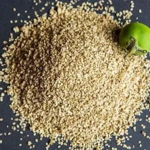 60 Heirloom Potato Seeds - Purple, Red & Yellow Color Mix for Outdoor Planting - Image 3