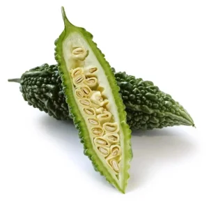 Bitter Melon Live Plant Starter - Bitter Gourd Vegetable Plant, 3-5 Inch Tall - Image 1