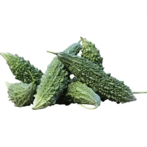 Bitter Melon Live Plant Starter - Bitter Gourd Vegetable Plant, 3-5 Inch Tall - Image 7