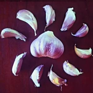 Chesnok Red Garlic Bulbs - Organic Heirloom Hardneck for Planting & Eating - 3 Bulbs to 10 lbs - Image 2
