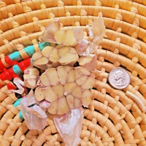 Chesnok Red Garlic Bulbs - Organic Heirloom Hardneck for Planting & Eating - 3 Bulbs to 10 lbs - Image 4