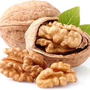 Dormant Pecan Tree Bare Roots - 2 Pack, 1-2 ft Tall, Cold Hardy Seedlings - Image 3