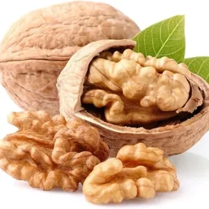 Dormant Pecan Tree Bare Roots - 2 Pack, 1-2 ft Tall, Cold Hardy Seedlings - Image 7