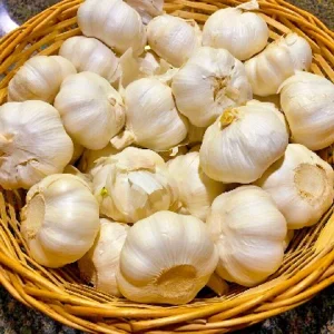 German Red Hardneck Garlic Bulbs - Organic Heirloom for Planting & Cooking - 1/2 lb to 10 lbs - Image 1