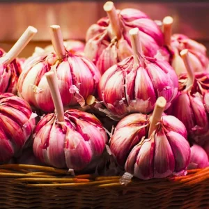 Hardneck Music Garlic Bulbs for Planting - 8-10 Count, High Yield, Fall Planting - Image 8