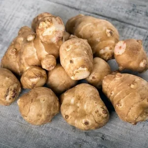 Jerusalem Artichoke Live Tubers - 5 Sunchoke Bulbs for Planting, Outdoor - Image 2
