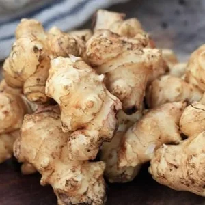 Jerusalem Artichoke Tubers for Planting – 0.5 LB Sunchokes – Perennial Vegetable - Image 7