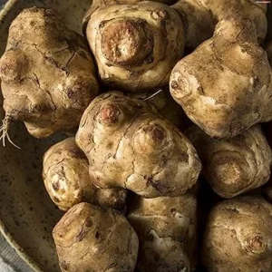 Jerusalem Artichoke Tubers for Planting - 1 LB Sunchoke Roots, Perennial - Image 6