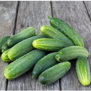 Marketmore Cucumber Live Starter Plants - Set of 2, 3-5 Inch Tall, Outdoor Vegetable - Image 5