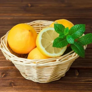 Meyer Lemon Live Starter Plant – Sweet Fruit Tree – 3-5 Inch Tall – Outdoor Garden - Image 9