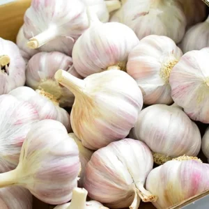 Mix Garlic Bulbs for Planting - 1 Lb Hardy Hardneck Garlic for Home Garden - Image 3