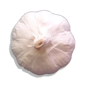 Organic Garlic Bulbs - 5 Varieties: Chesnok, Music, Italian, German, Russian - 1-40 lbs - Image 18