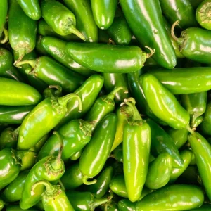 Pack of 3 Jalapeno Live Starter Plants - Hot Pepper, 1-3 Inch Tall - Image 1