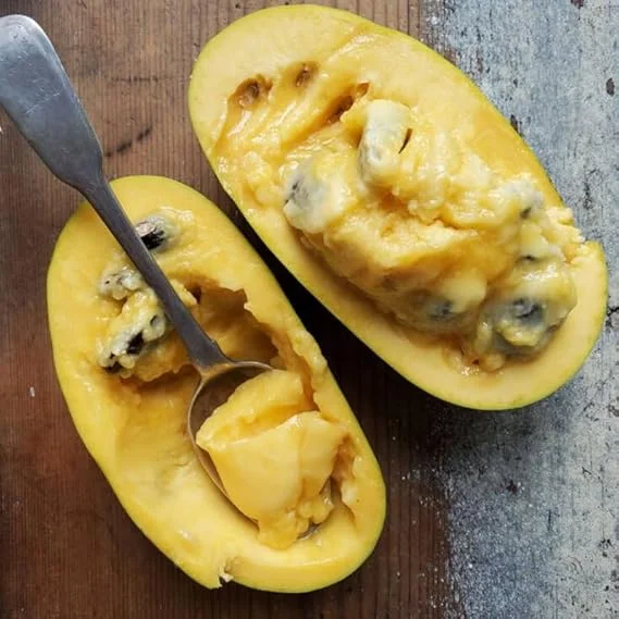 Pawpaw Tree Live Plants - Set of 2 Bare Roots, 6 Inch to 1 Ft, Hardy Fruit Tree - Image 2