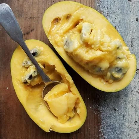 Pawpaw Tree Live Plants - Set of 2 Bare Roots, 6 Inch to 1 Ft, Hardy Fruit Tree - Image 1