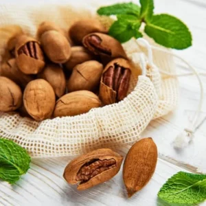 Pecan Tree Plants Live Bare Roots - 4 Pack, 1-2 Ft Tall, Hardy Nut Trees - Image 6