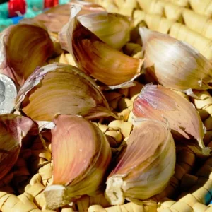 Peruvian Purple Stripe Garlic Bulbs - Organic Heirloom for Planting & Eating, 3 Bulbs - Image 3