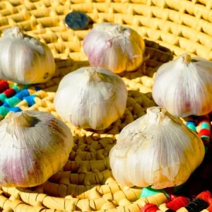 Peruvian Purple Stripe Garlic Bulbs - Organic Heirloom for Planting & Eating, 3 Bulbs - Image 5