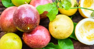purple passion fruit and yellow passion fruit