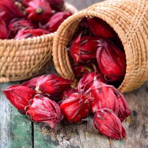 Roselle Hibiscus Live Plant – Jamaican Sorrel for Planting – 8-12 Inch Tall – 2 Plants per Pot - Image 10