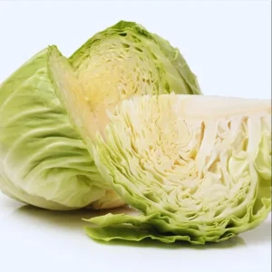 Set of 3 Cabbage Live Plants for Gardening, 5 Inch Tall, 4 Inch Pot - Image 7