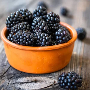 2 Navaho Thornless Blackberry Live Plants - Sweet Black Fruit, Upright Shrub, 4-6 in Tall - Image 7