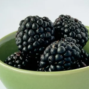 2 Von Thornless Blackberry Live Plants – Sweet Black Fruit – 4-6 Inch Starters - Image 9