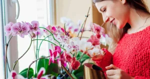 Best Flowers for Women's Day Gifts Meaningful Gifts to Honor Her