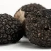 Black Oregon Truffle Mushroom Spores & Mycelium - Dry Seeds for Outdoor Cultivation - Image 1