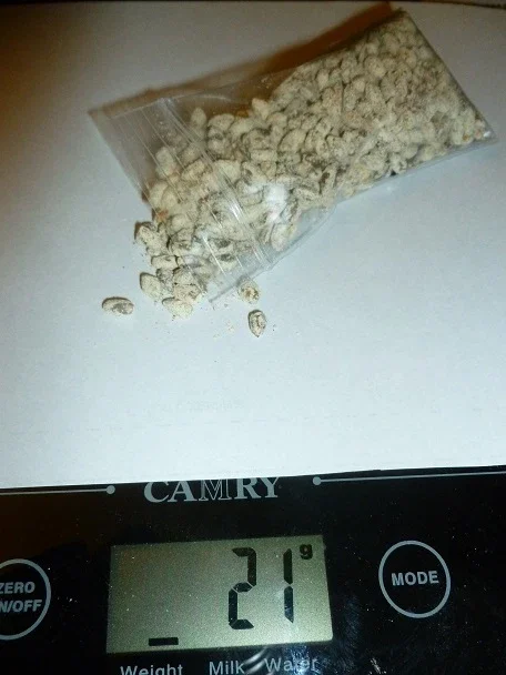 King Oyster Mushroom Spores Spawn - Eryngii Mycelium Dry Seeds for Cultivation - Image 2