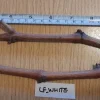Ladyfingers White Grape Cuttings - 2 Unrooted Vine Cuttings, 3+ Nodes, Outdoor - Image 1
