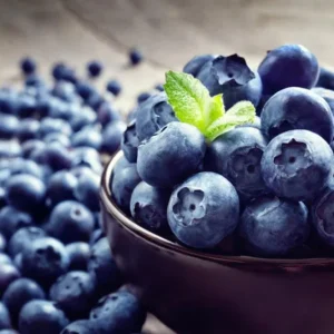 Legacy Southern Highbush Blueberry Live Plant - 4-8