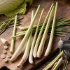 Lemongrass Live Plant Set - 5 Healthy Cymbopogon citratus Starters 4-8" Tall - Culinary Herb for Indoor/Outdoor Garden - Image 1