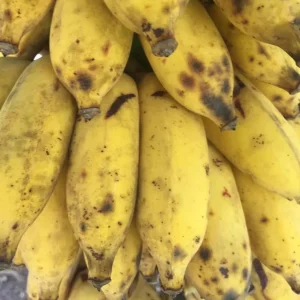 Nam Wah Banana Live Plant – 4-6