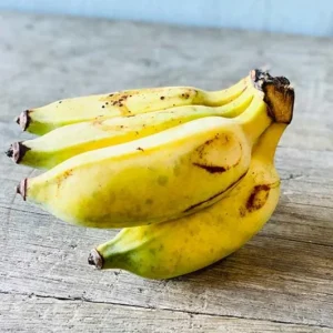 Nam Wah Banana Live Plant – 4-6