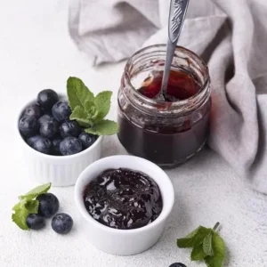 O'Neal Blueberry Bush Live Plant - Southern Highbush Starter 4-6