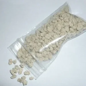 Reishi Mushroom Mycelium Spawn on Dry Seeds - 20g for Cultivation - Image 2