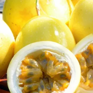 Set of 2 Yellow Passionfruit Live Plants, 3-6