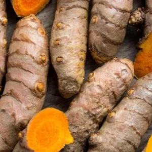 Set of 3 Yellow Turmeric Live Plants, Curcuma longa, 4-6" Tall, Edible Spice, Culinary Root - Image 2