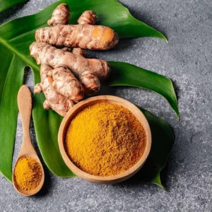 Set of 3 Yellow Turmeric Live Plants, Curcuma longa, 4-6" Tall, Edible Spice, Culinary Root - Image 1