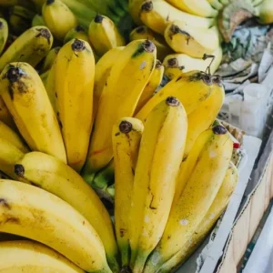 Set of 4 Grand Nain Banana Live Plants – 4-6