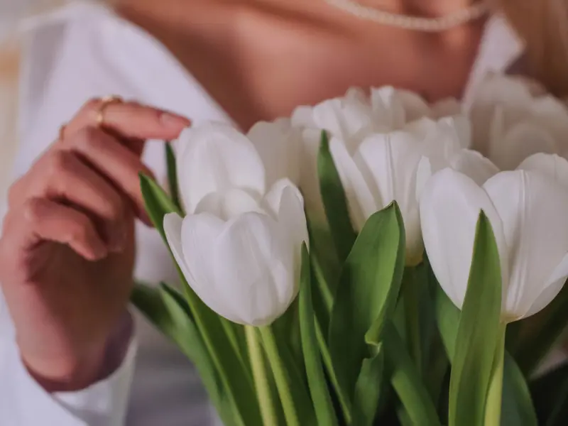 tulip for women's day gift