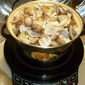 Wine Cap Mushroom Mycelium Spawn - Stropharia rugosoannulata - Edible Mushroom Seeds for Cultivation - Image 10