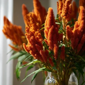 Amaranthus Hot Biscuits Flower Seeds - 100 Count - Burnt Orange Cut Flowers - Image 3